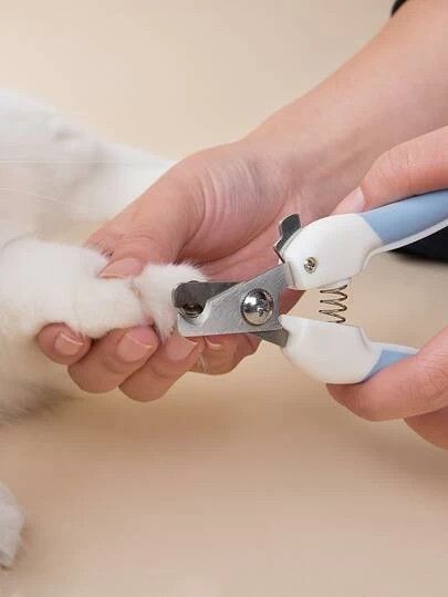 How To Trim A Cat’s Nails Without Getting Scratched