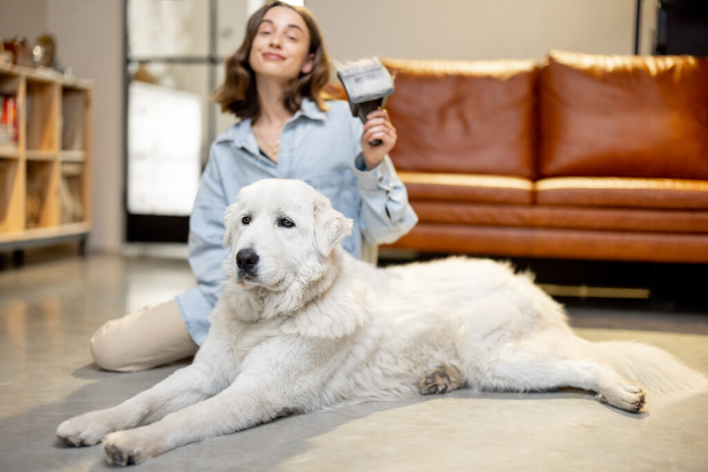 Pets Grooming
