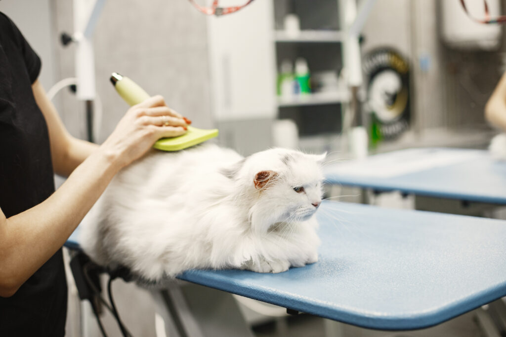 Pet Grooming