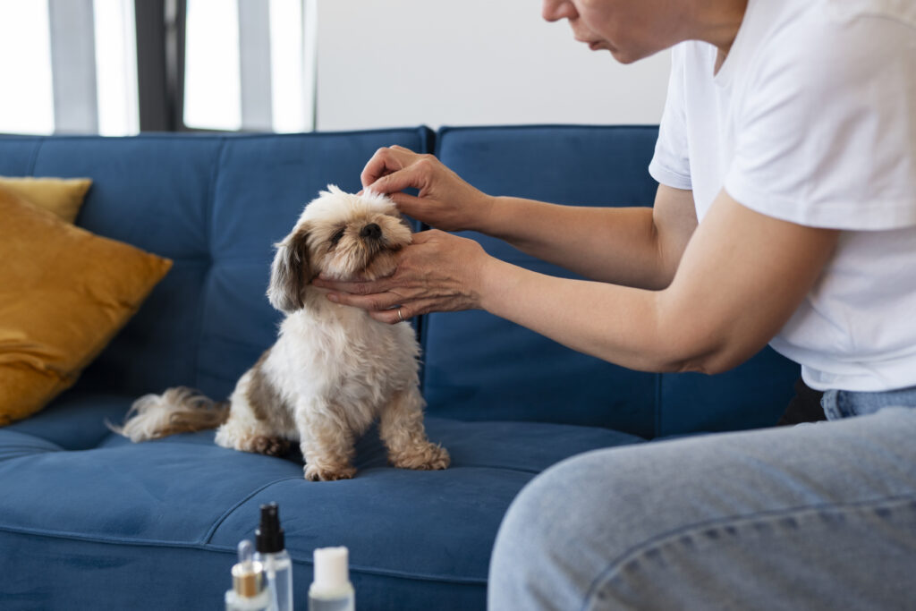 What You Need for Your Dog's First Ear Cleaning Session
